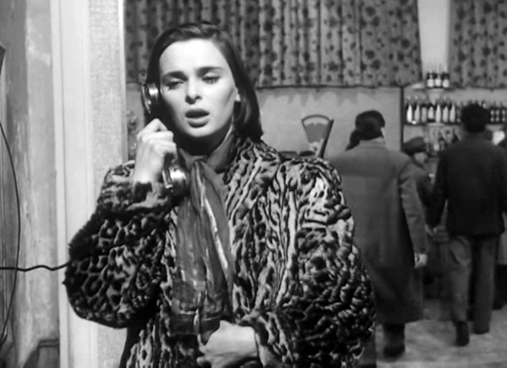 椿なきシニョーラの画像