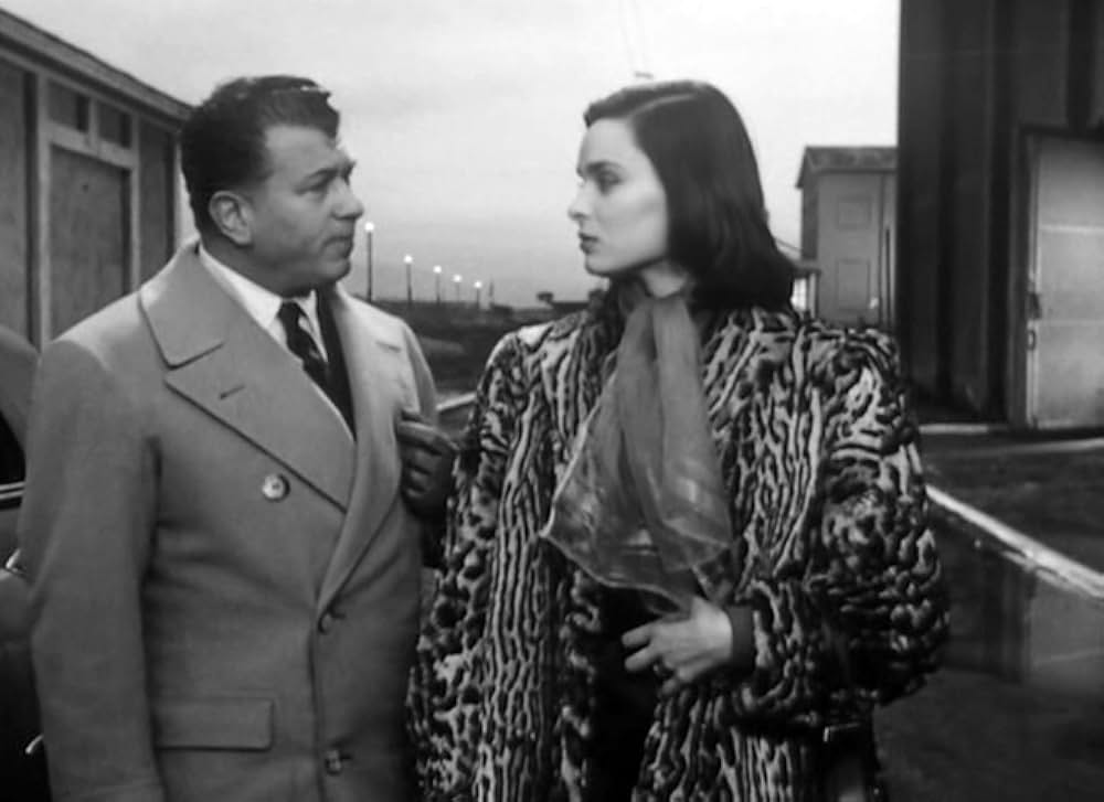 椿なきシニョーラの画像