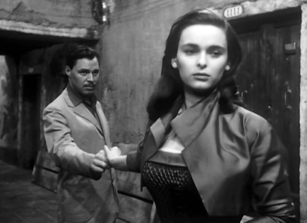 椿なきシニョーラの画像