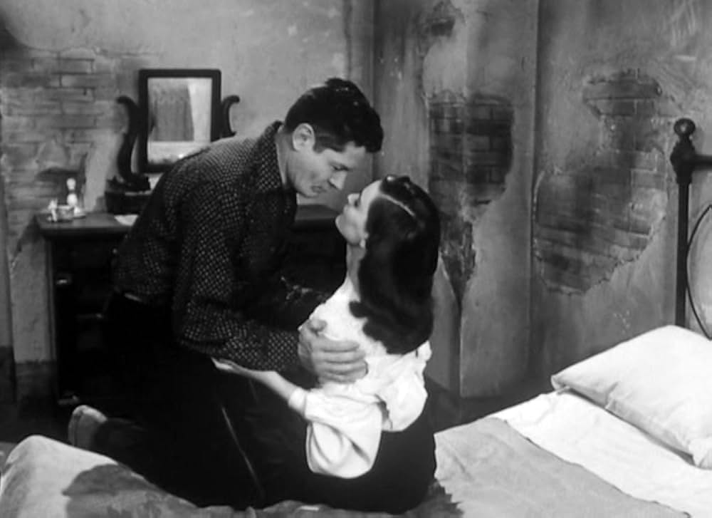 椿なきシニョーラの画像