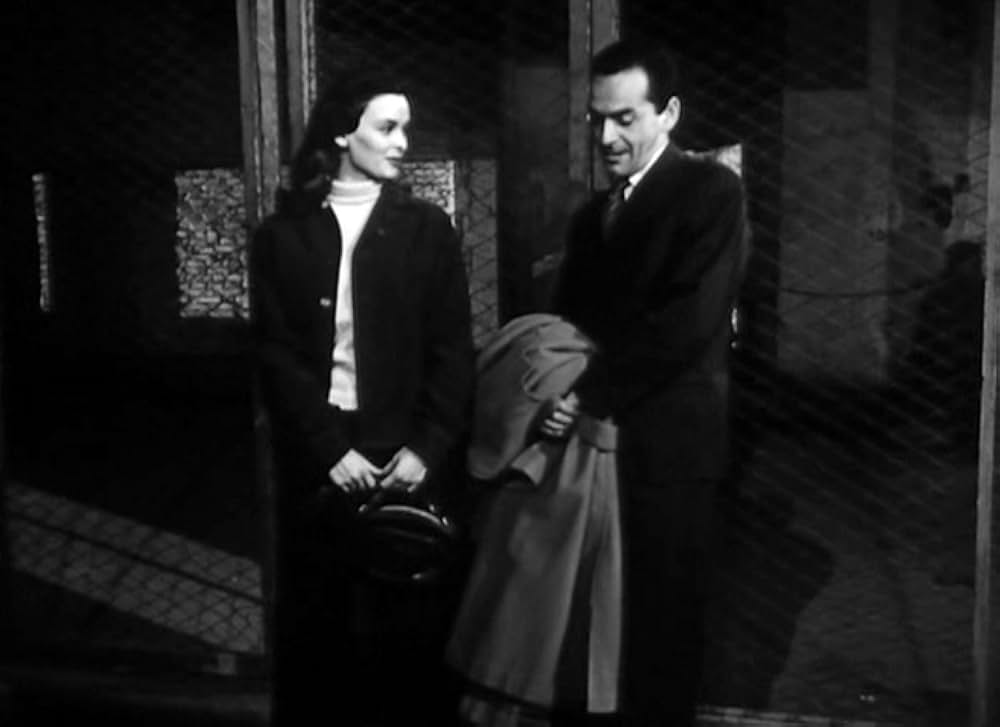 椿なきシニョーラの画像