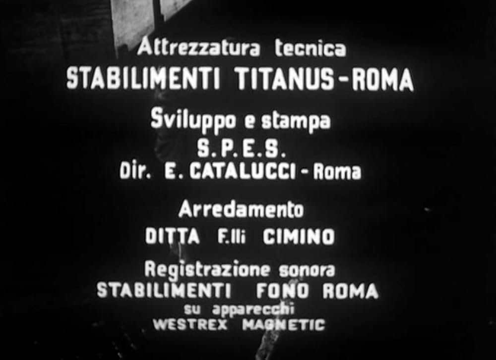 椿なきシニョーラの画像