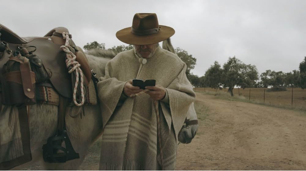 ドンキー・ホーテの写真