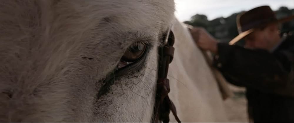 ドンキー・ホーテの画像