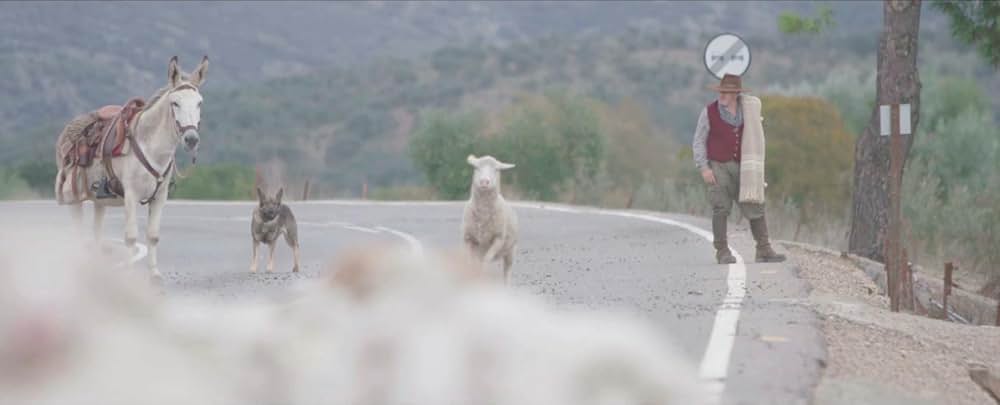 ドンキー・ホーテの画像