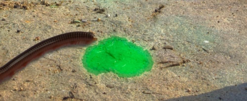 ロード・オブ・モンスターズ 怪獣帝国の画像