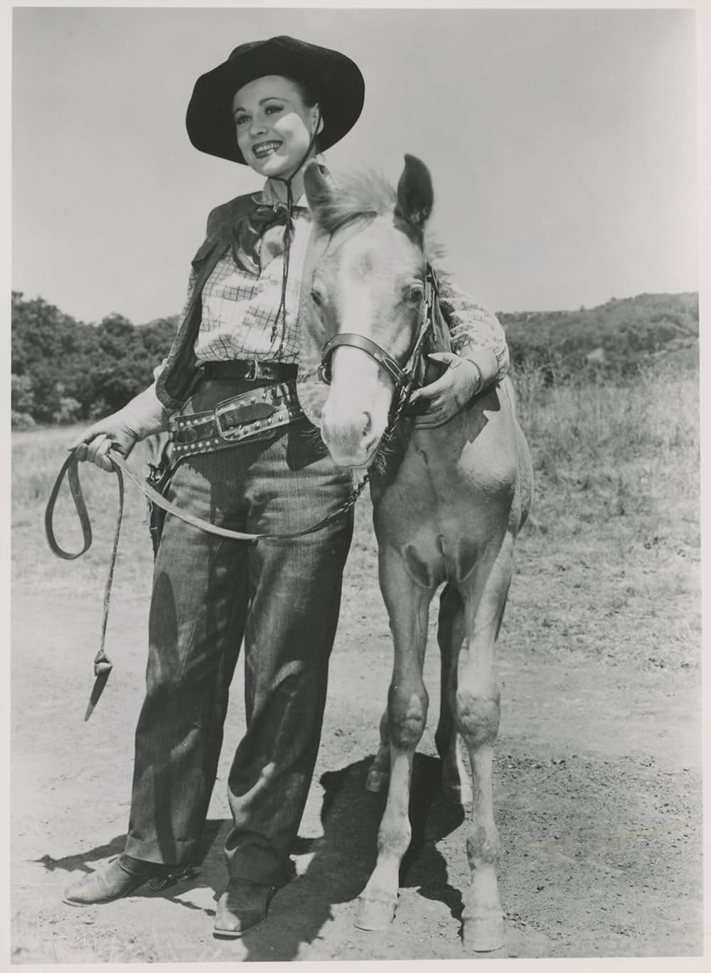 ブラックストーンの決闘／ブラクストンの決闘の写真