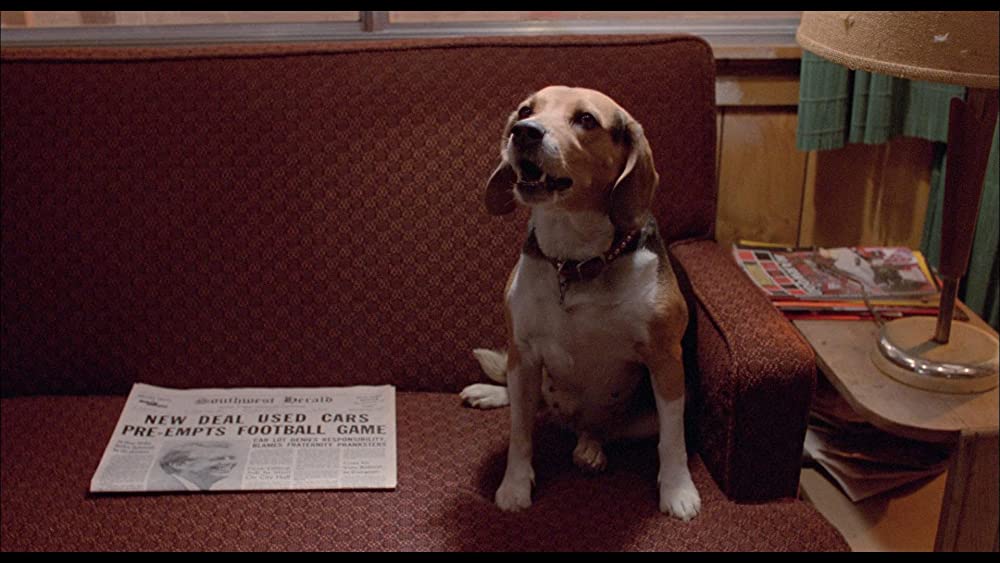 ユーズド・カーの画像