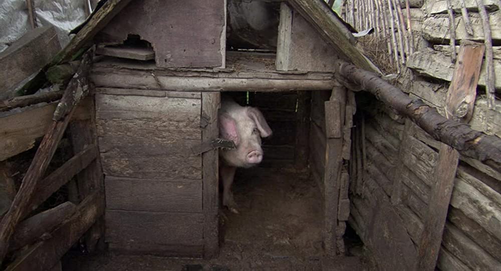 「ボラット 栄光ナル国家カザフスタンのためのアメリカ文化学習」の画像