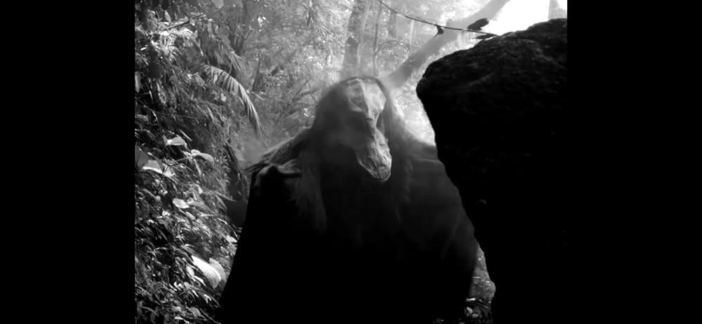 痛ましき謎への子守唄の画像