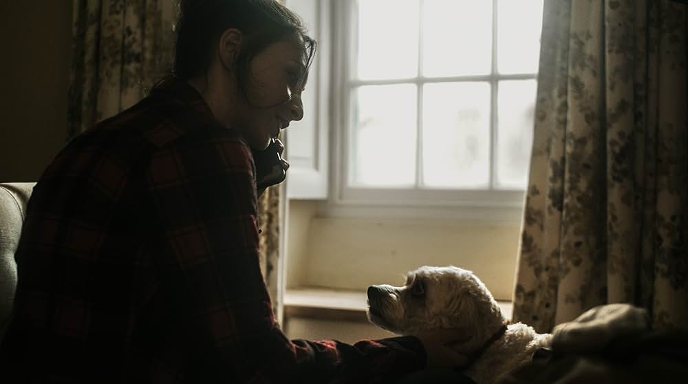 アウシュビッツ・リベンジの画像