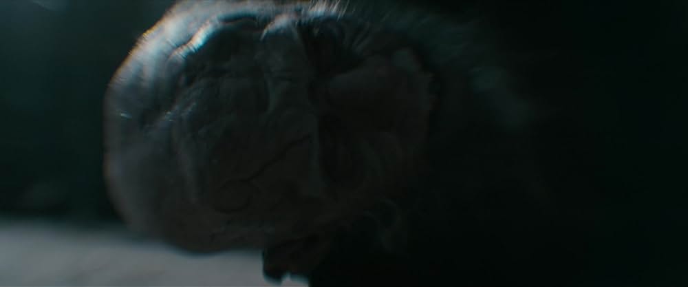 ヘルボーイ／ザ・クルキッドマンの画像