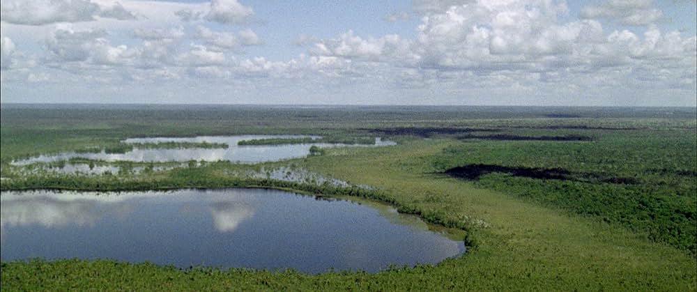 アーティフィシャル・ユーモアの画像