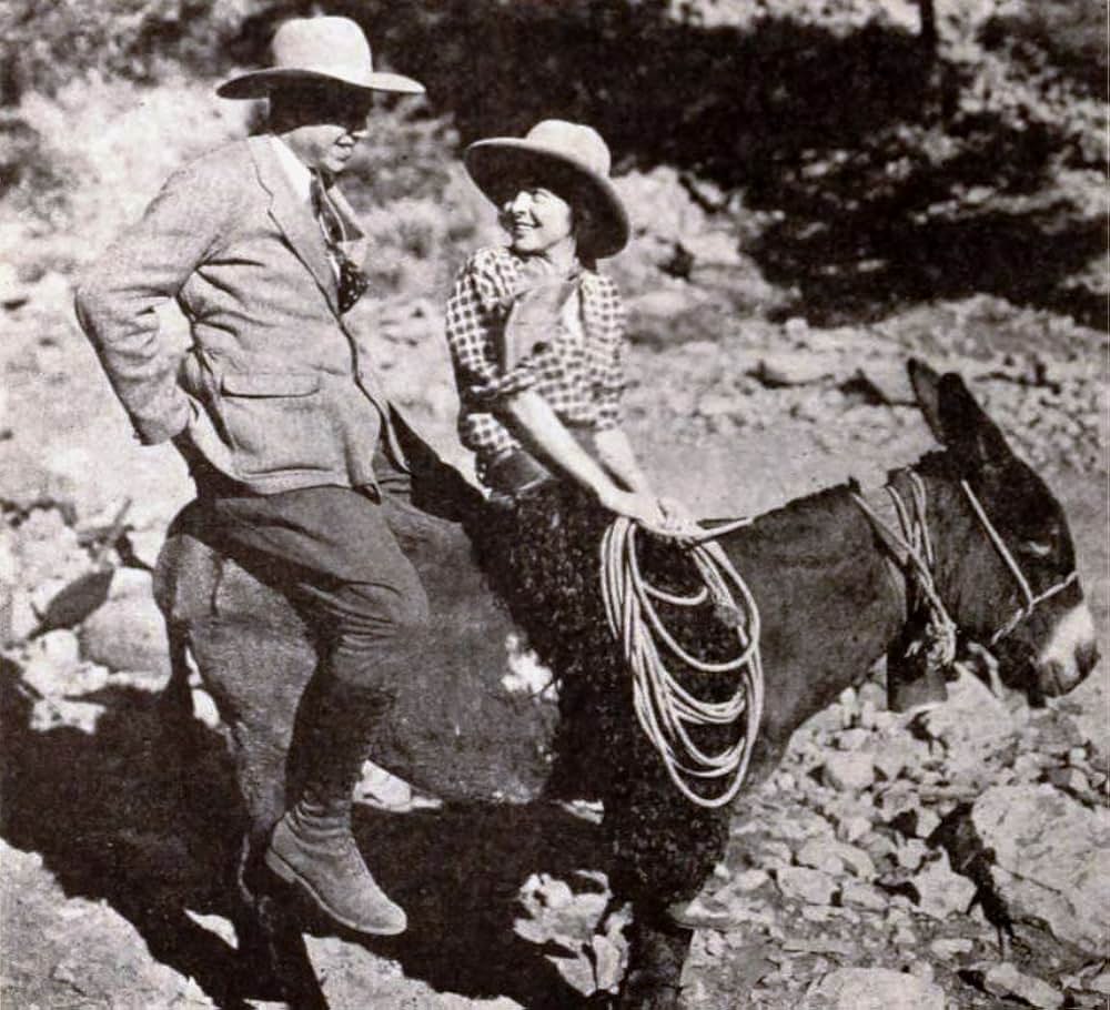 曠野に叫ぶの画像