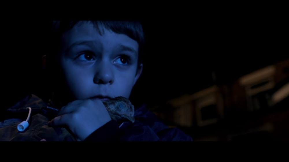 ブーガルーとグラハムの写真