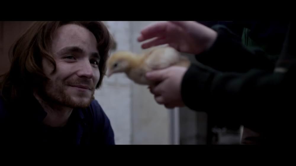 ブーガルーとグラハムの画像