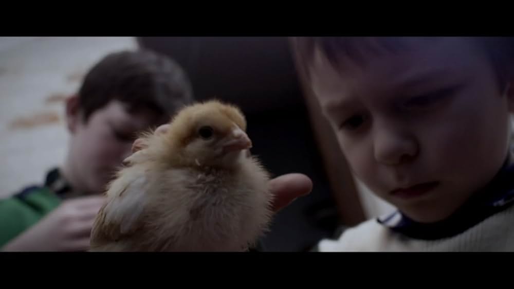 ブーガルーとグラハムの画像