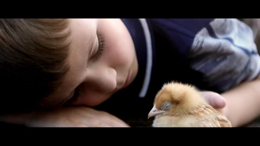 ブーガルーとグラハムの画像