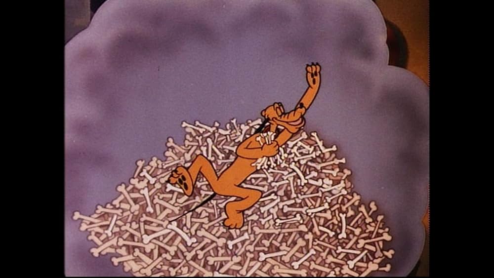 ドナルドの催眠術の写真