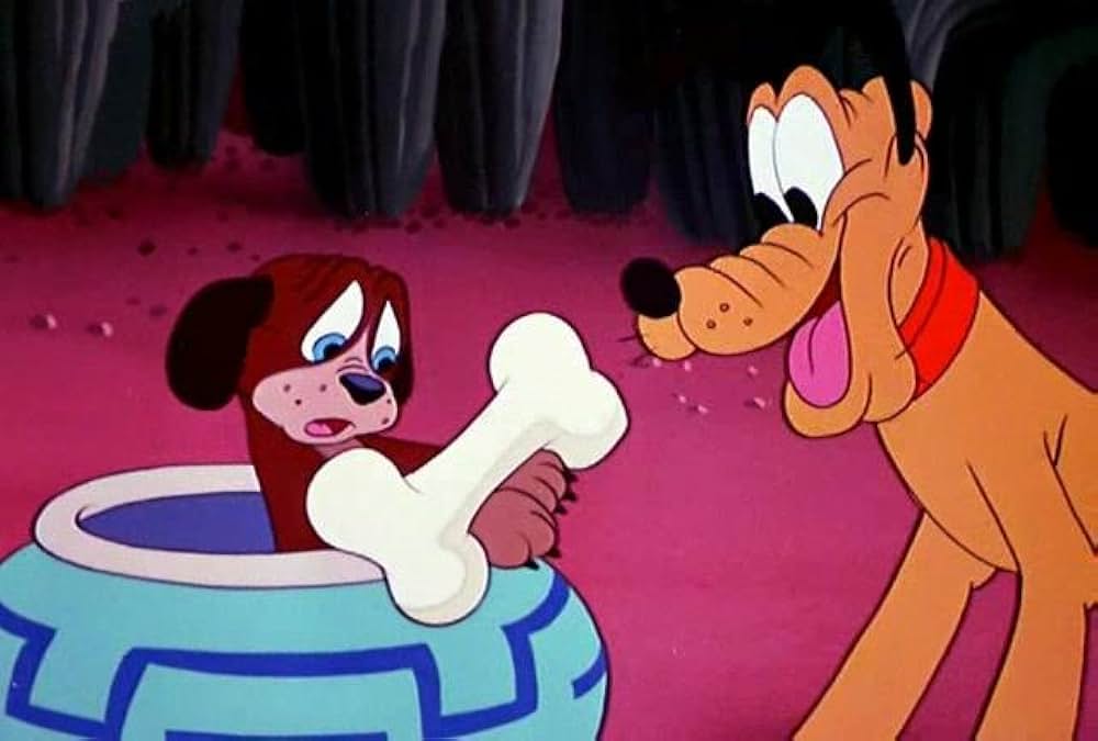 プルートのサボテン騒動の写真