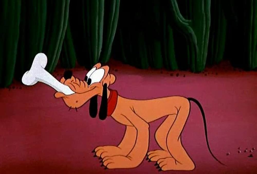 プルートのサボテン騒動の画像