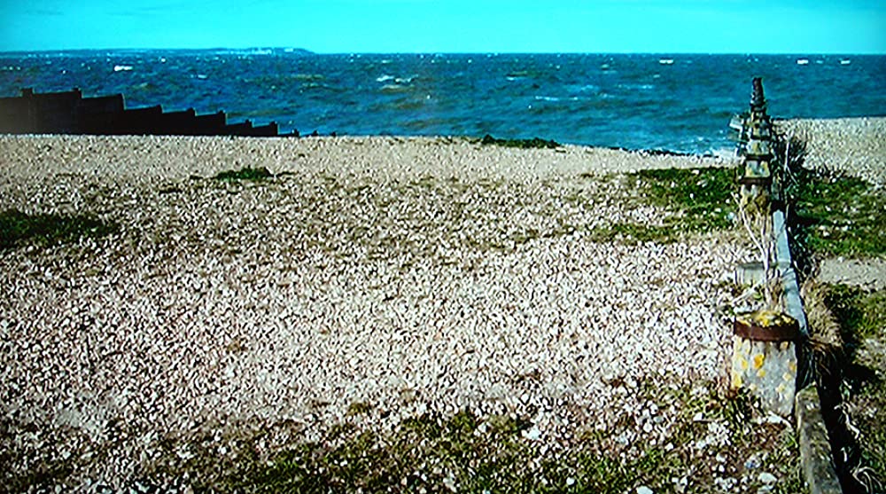 ヴィーナスの画像