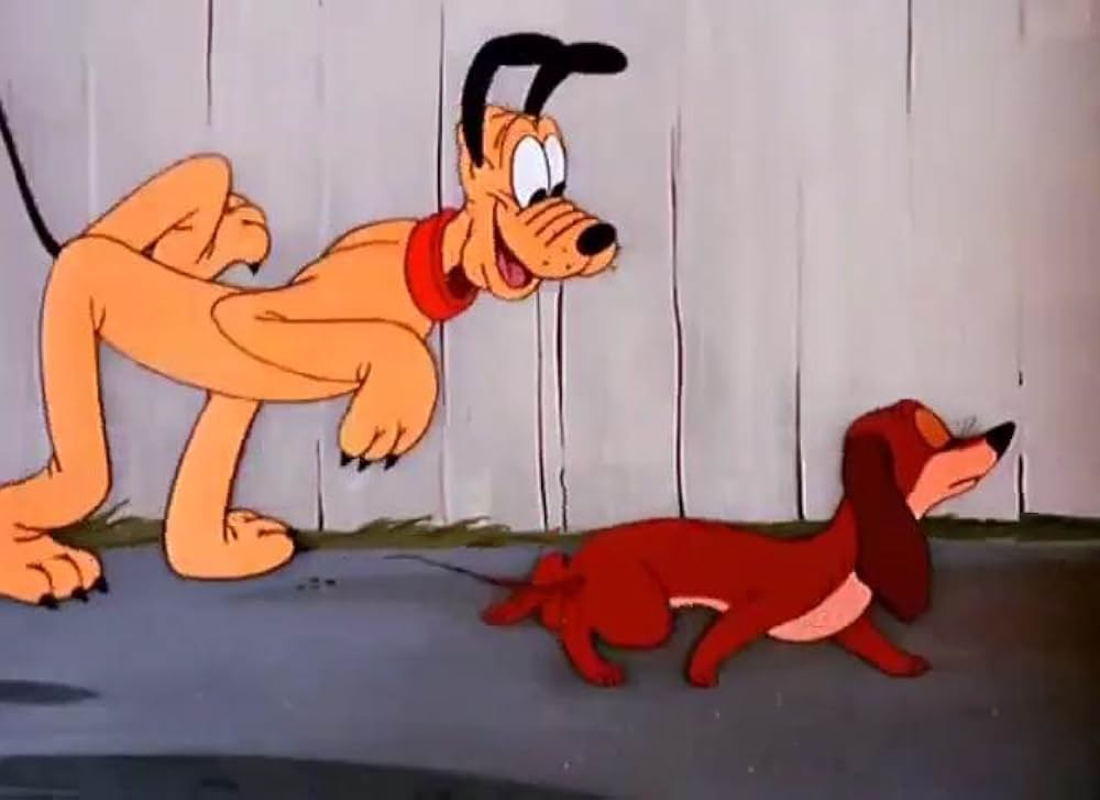 プルートのサーカス大好きの画像