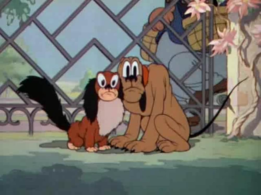 プルートの5つ子の画像