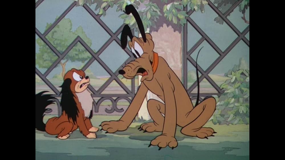 プルートの5つ子の画像