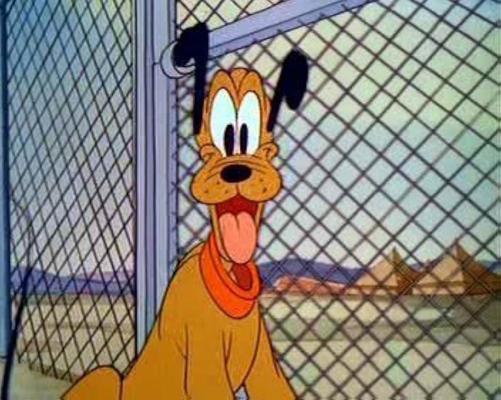 アーミー・マスコットの写真