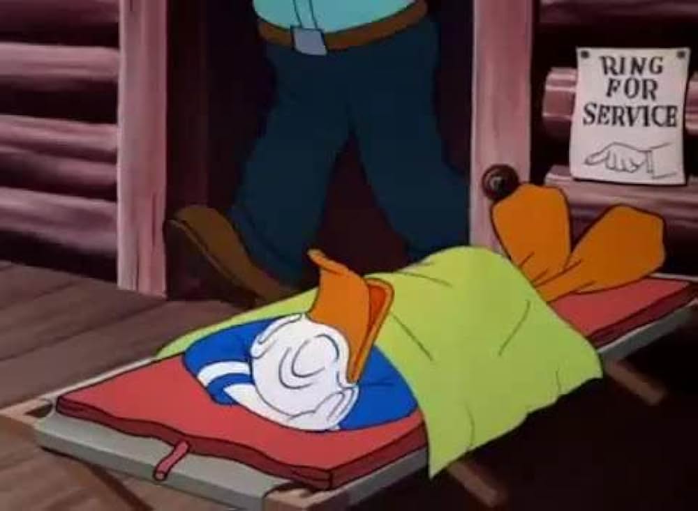 ドナルドの自動車旅行の写真