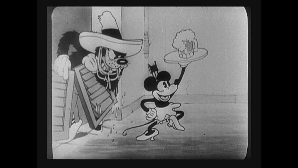 カクタス・キッドの写真