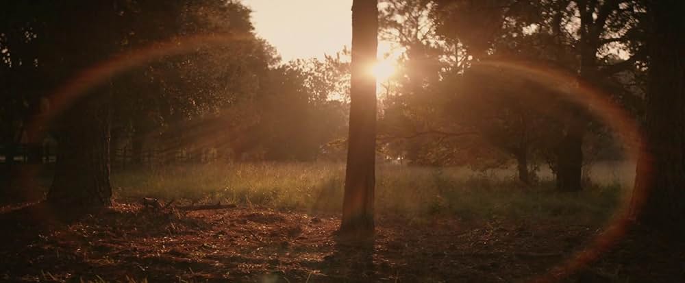 Abandoned（原題）の画像