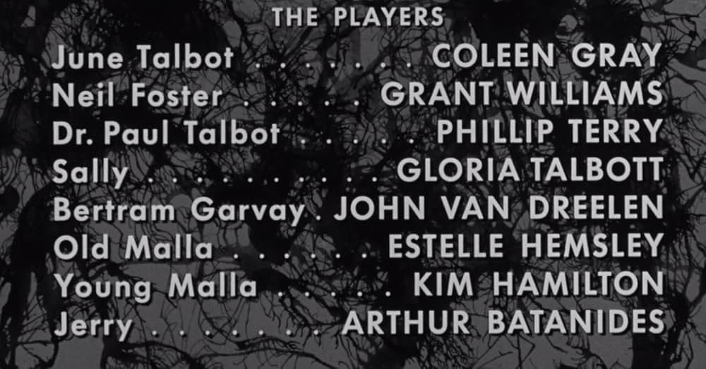 吸血ヒル女の画像