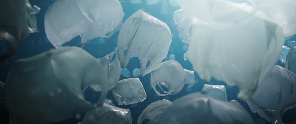 ザ・ビューティーの画像