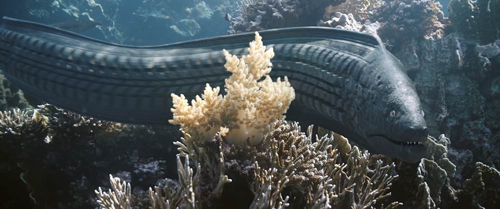 ザ・ビューティーの画像