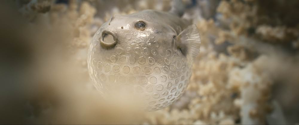 ザ・ビューティーの画像