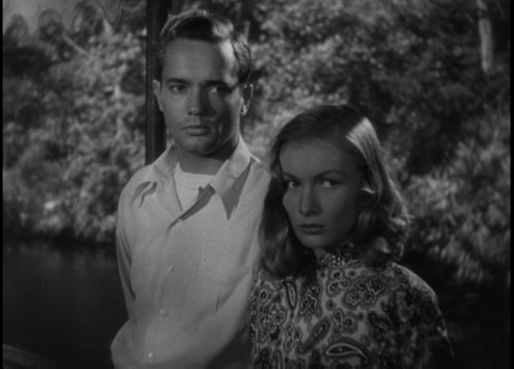 サイゴン密輸空路の画像