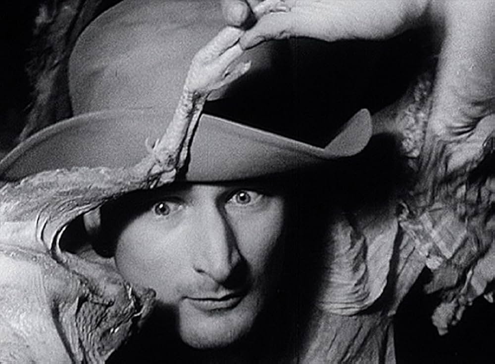 ブロンド・コブラの写真