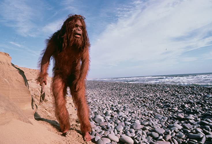 エイプマンひとりぼっちの画像