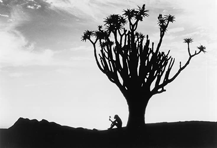 エイプマンひとりぼっちの画像