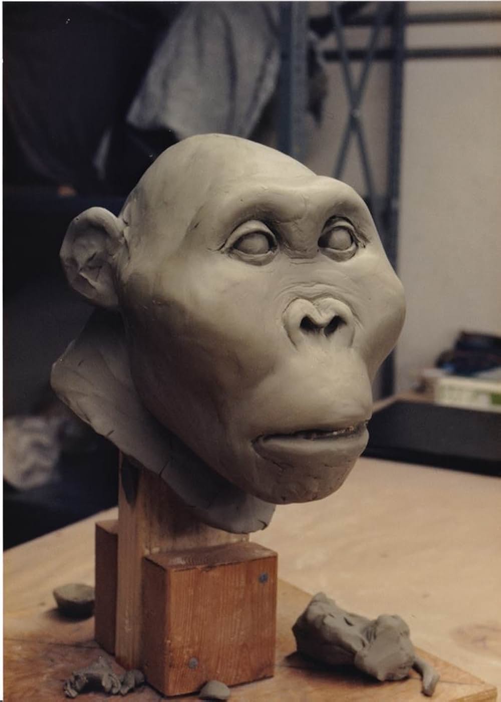 エイプマンひとりぼっちの画像