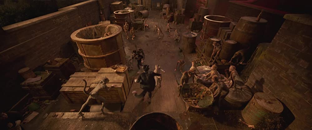 キャッツの画像