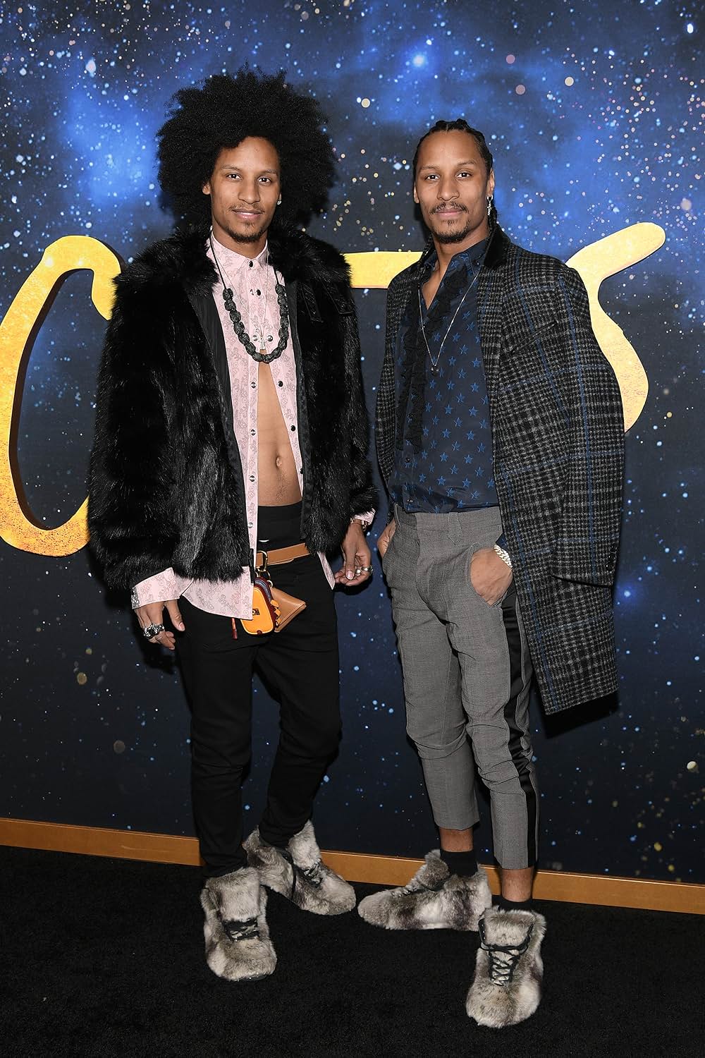 キャッツの画像