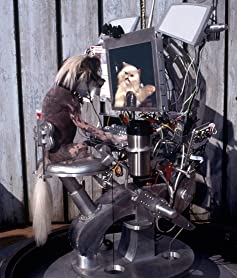 「キャッツ&ドッグス」ジョー・パントリアーノ & ショーン・ヘイズの画像