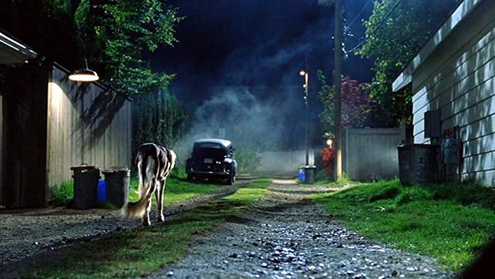 「キャッツ&ドッグス」スーザン・サランドンの画像