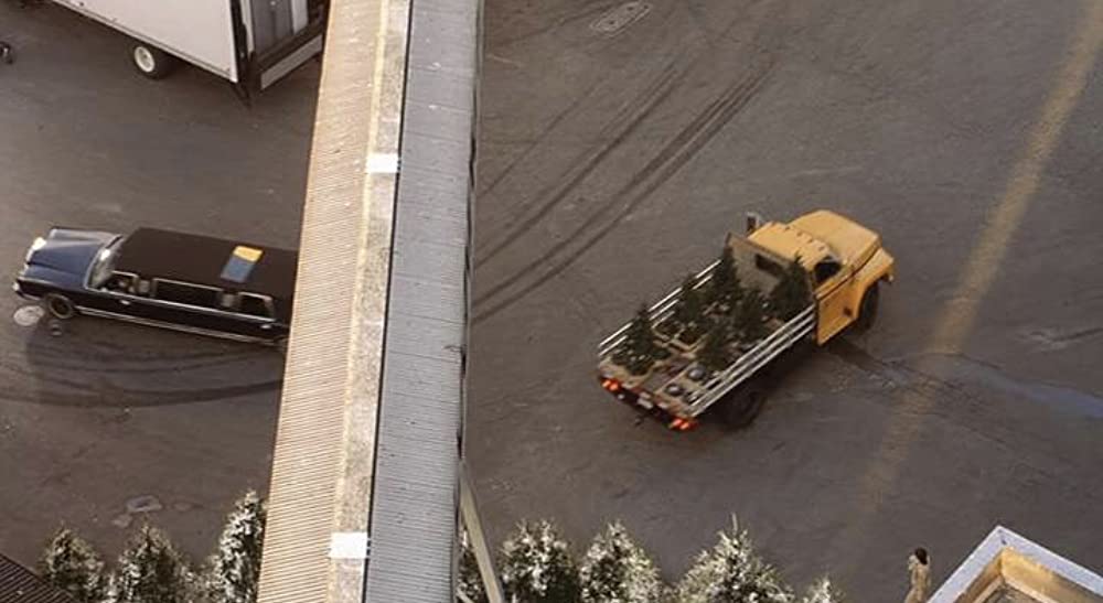 キャッツ&ドッグスの画像