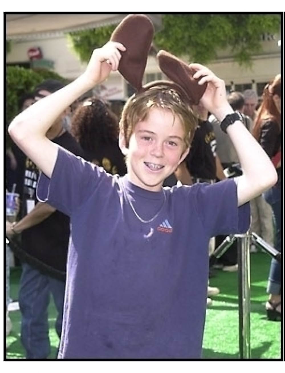 キャッツ&ドッグスの画像