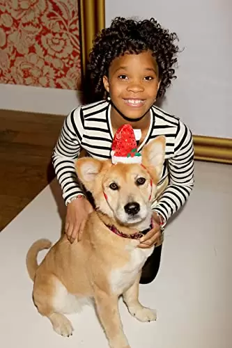 「ANNIE／アニー」クワベンジャネ・ウォレスの画像