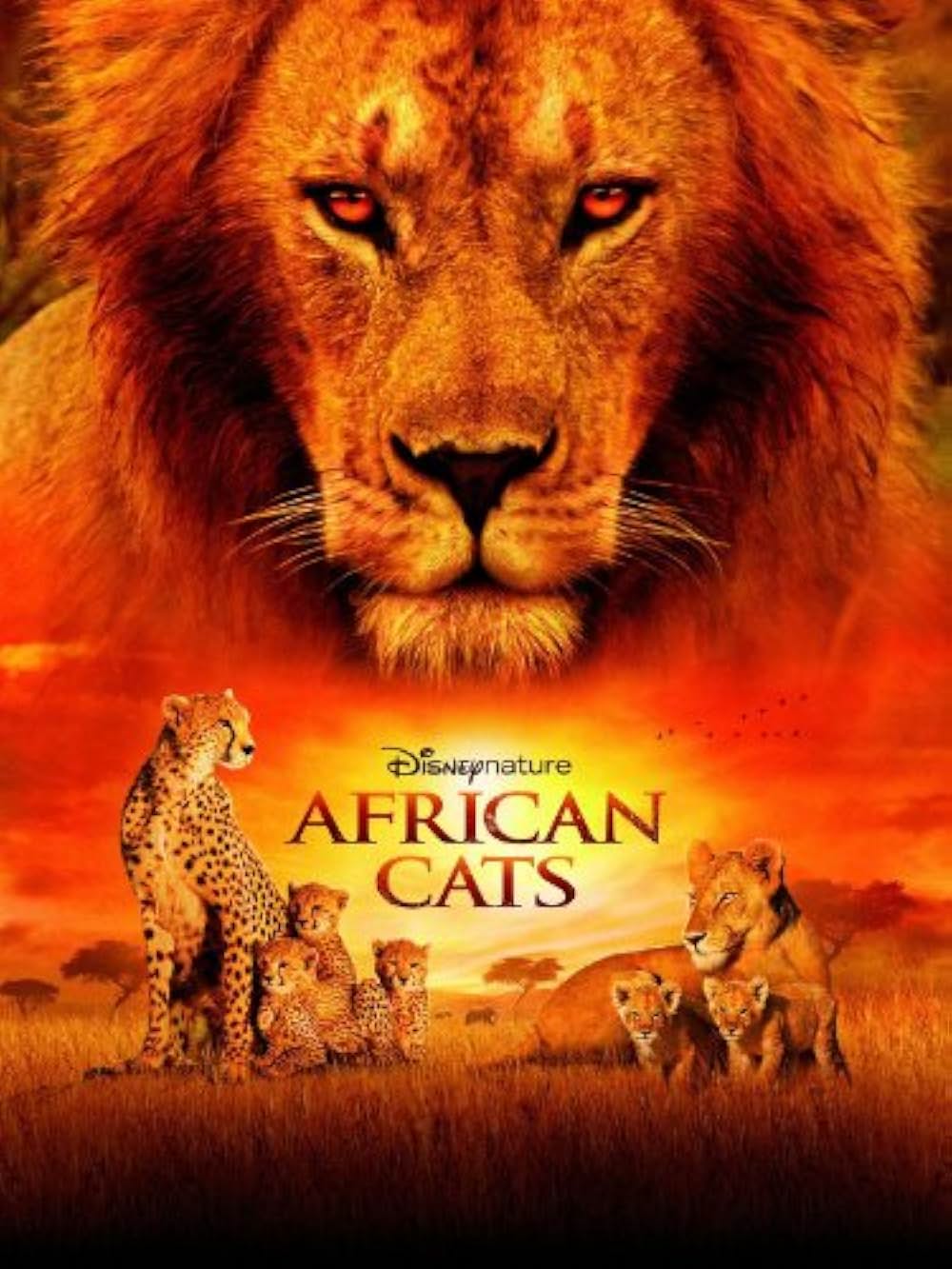 ディズニーネイチャー サバンナを生きる百獣の王の画像